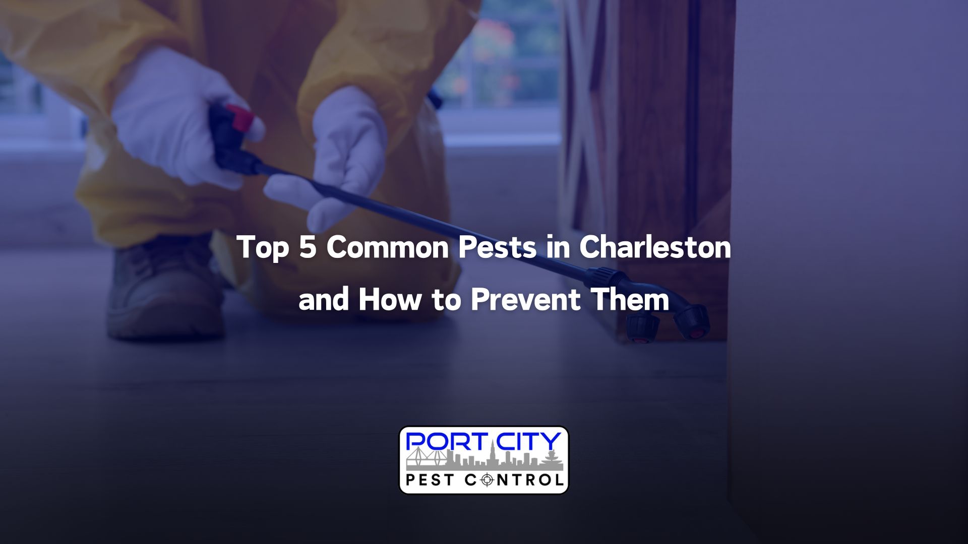 Top pest-prevention measures for Charleston homes