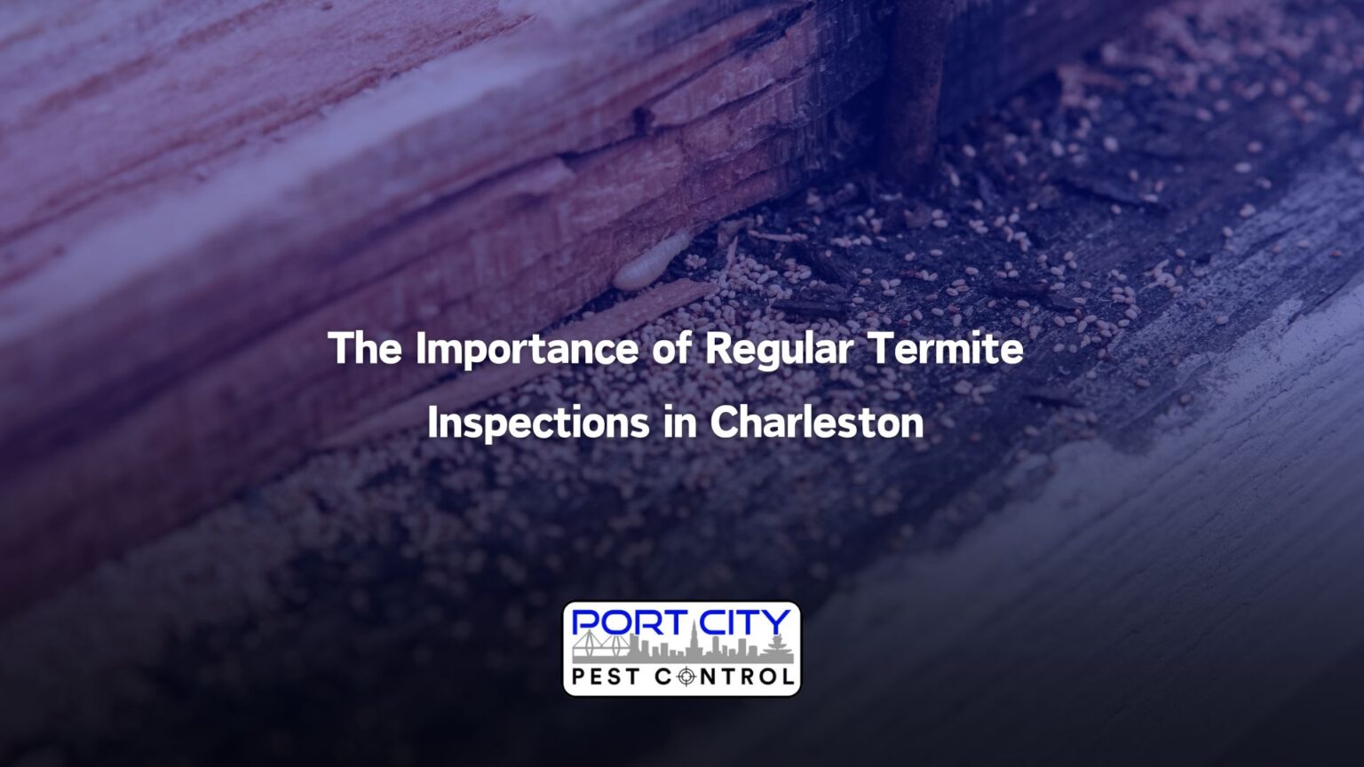 The Importance of Regular Termite Inspections in Charleston - Port City ...