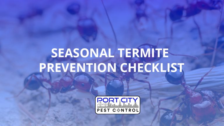 Seasonal Termite Prevention Checklist - Port City Pest Control