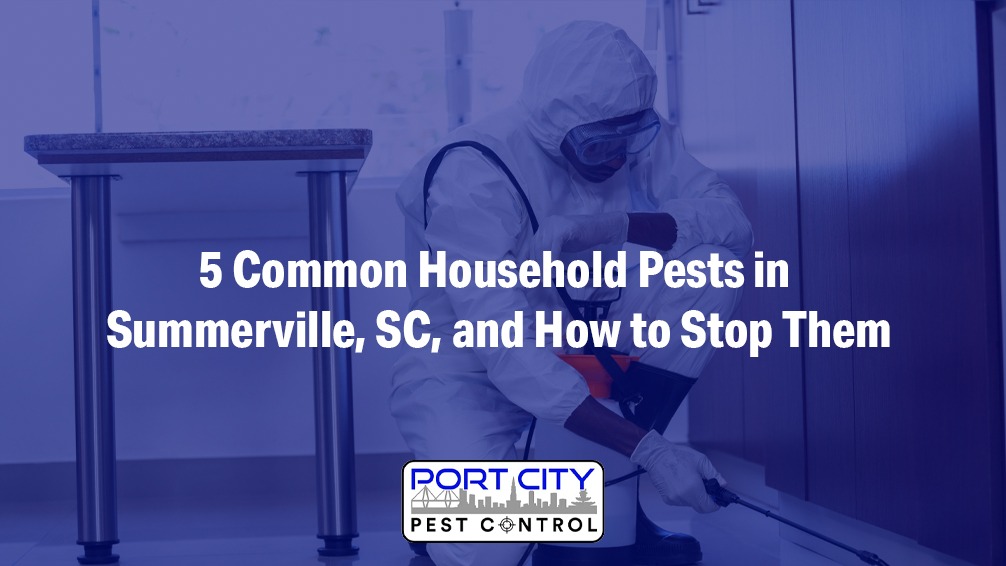 Choose Professional Pest Control in Summerville